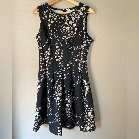 Ann Taylor NWOT sleeveless fit & flare black/cream dress 10 - Picture 1 of 8